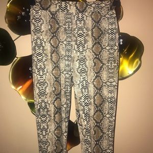 Snakeskin Leggings